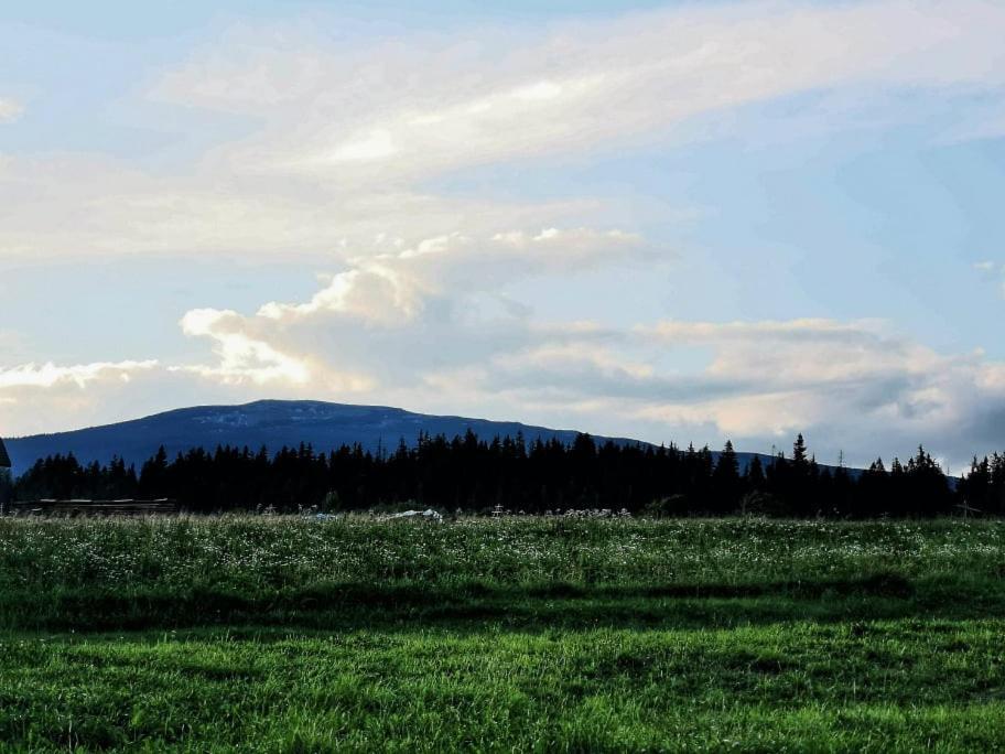 Pokoje U Kasi I Marcina Villa Lipnica Wielka Exterior foto